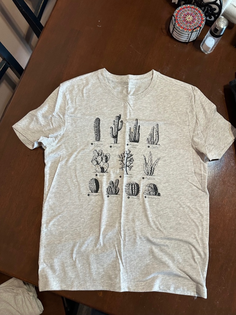Banana Republic Factory Men's CACTUS DIAGRAM GRAPHIC T SHIRT Size M